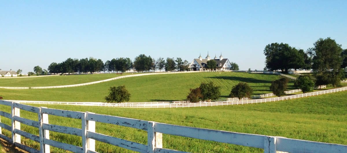 Kentcvuky-bluegrass-sized-horizontal