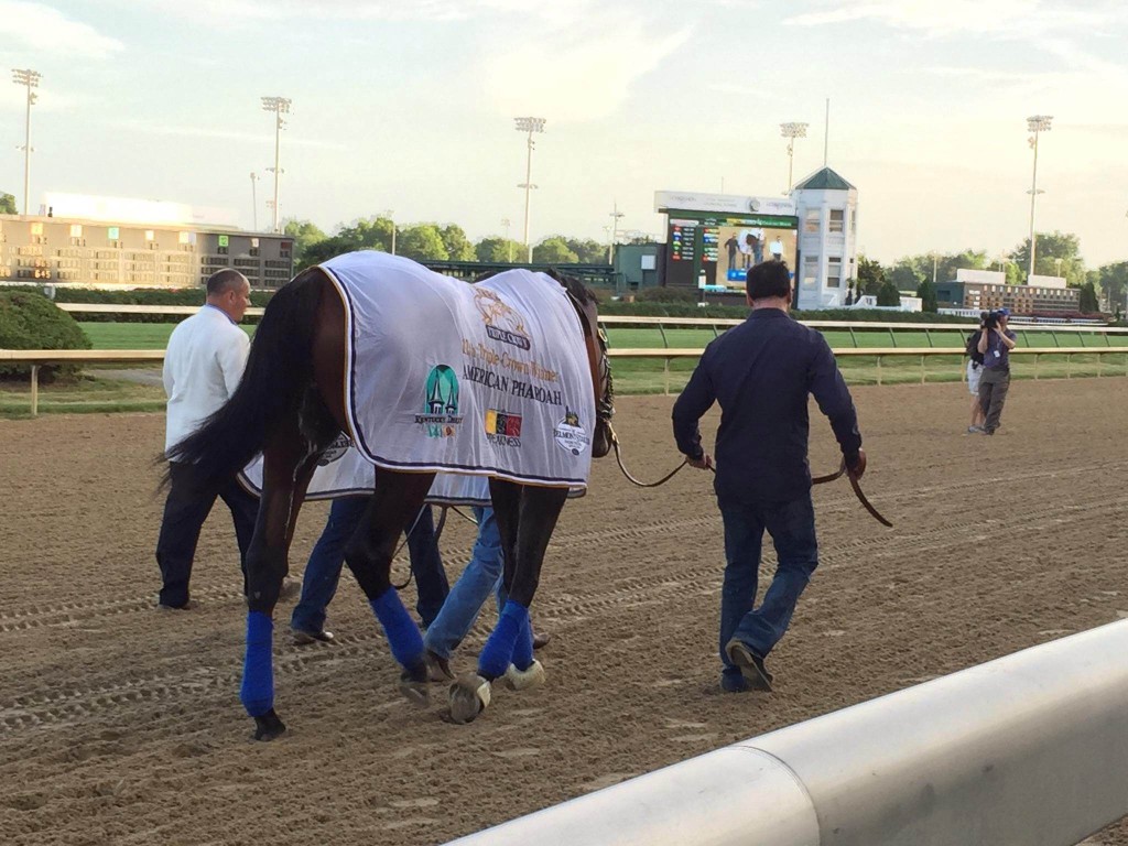 Blog-3-image-7-1024x768