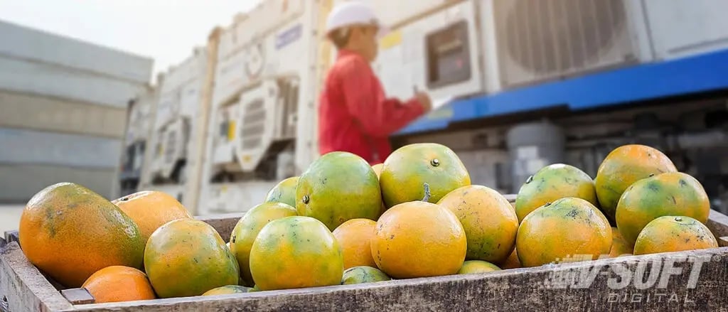 Oranges-being-shipped-via-the-cold-chain-to-the-grocery-store-after