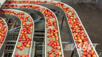 Overcome Food Waste And Improve Food Safety With IoT