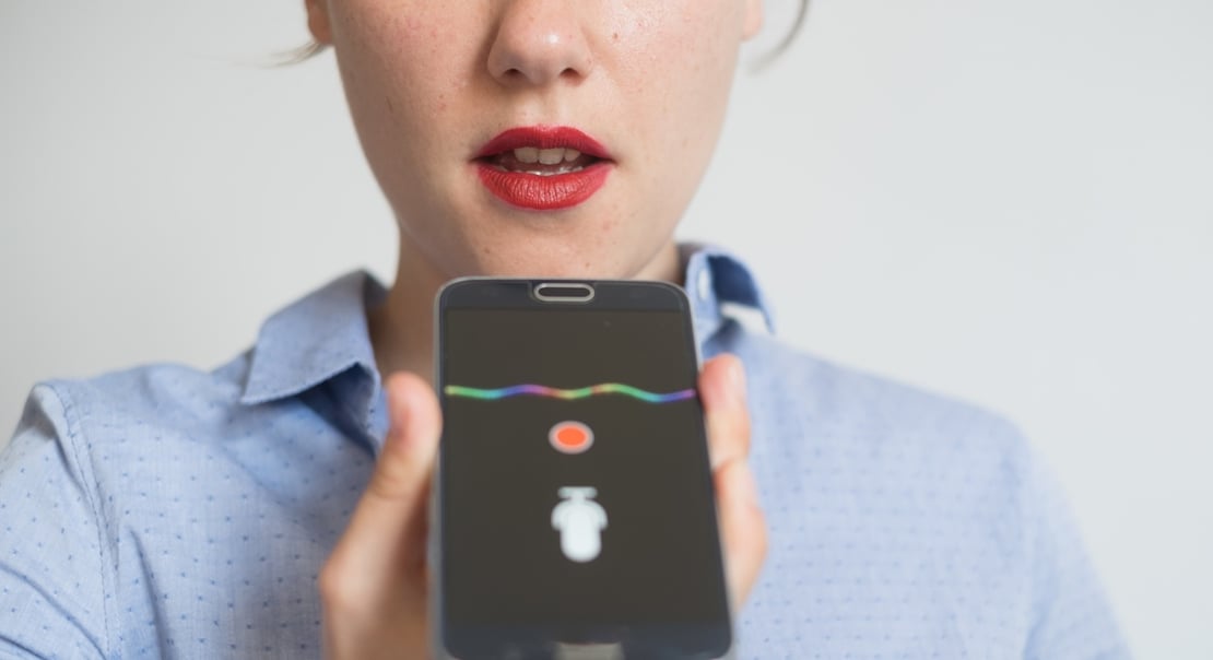 Voice Assistant for the Enterprise VERA