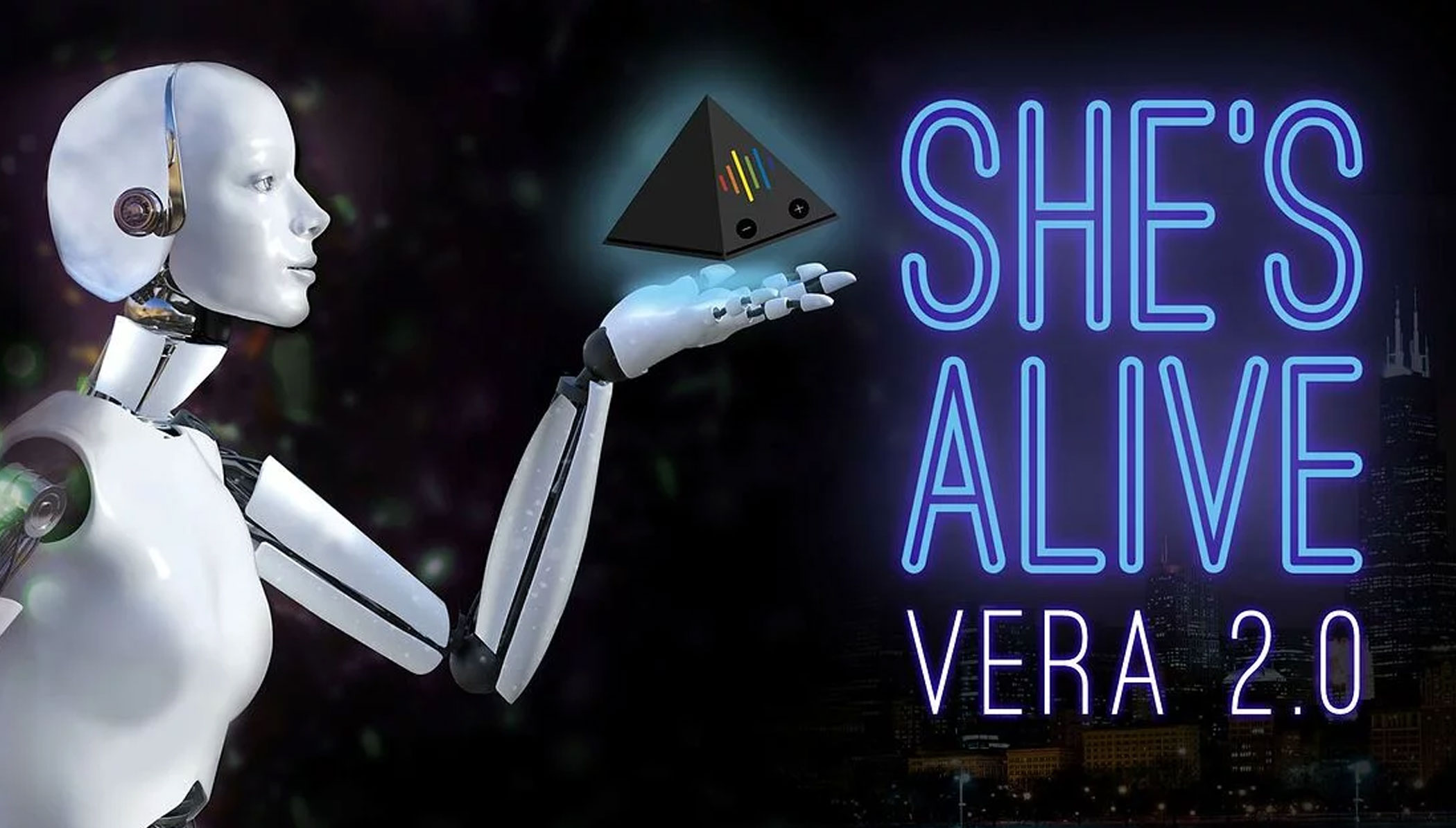 What is VERA 2.0 image